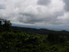 tropical hardwood view Costa Rica